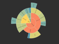 sunburst chart visualization